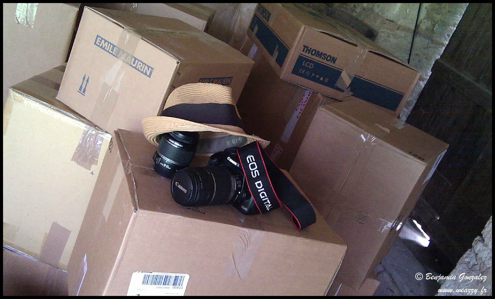 Weazzy dans les cartons