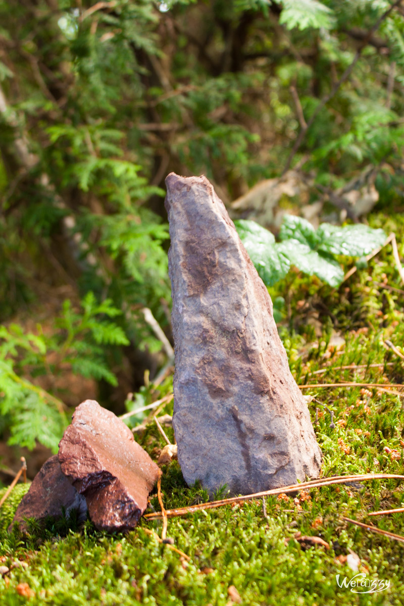 Brocéliande