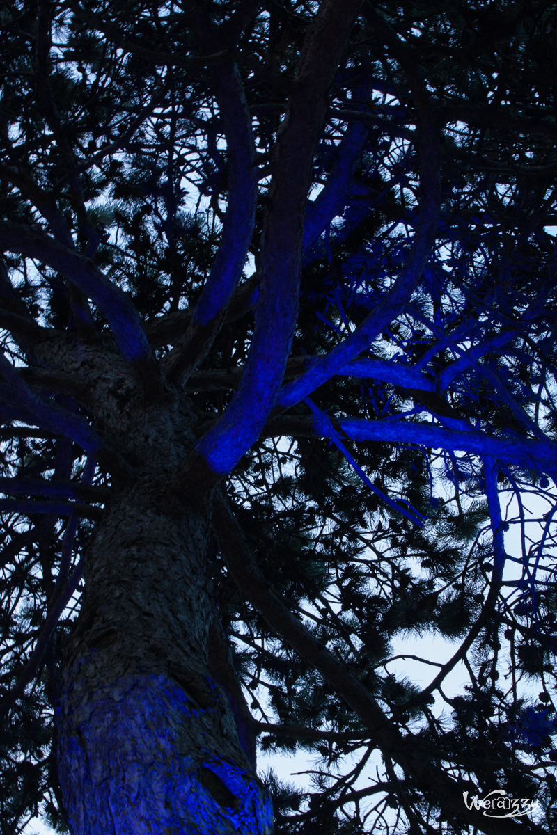 Botanique, Jardin, Nantes