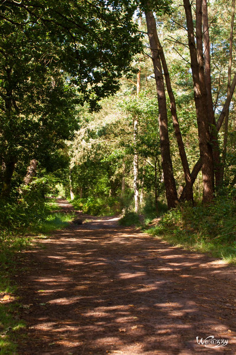 Brocéliande