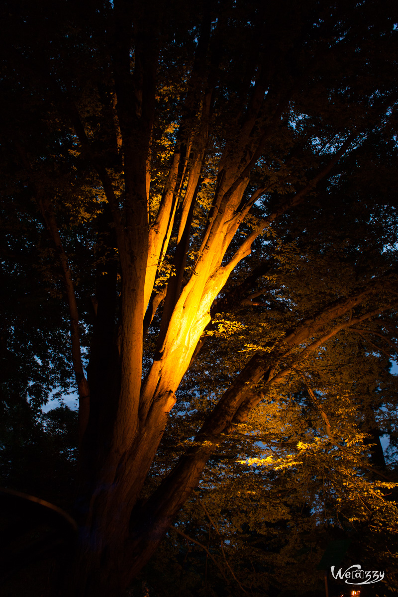 Botanique, Jardin, Nantes