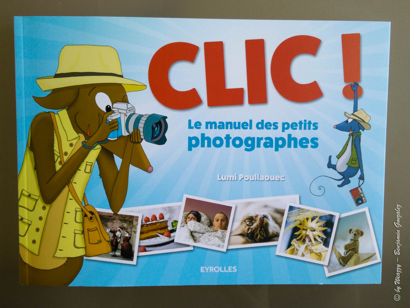 livre, manuel, photo