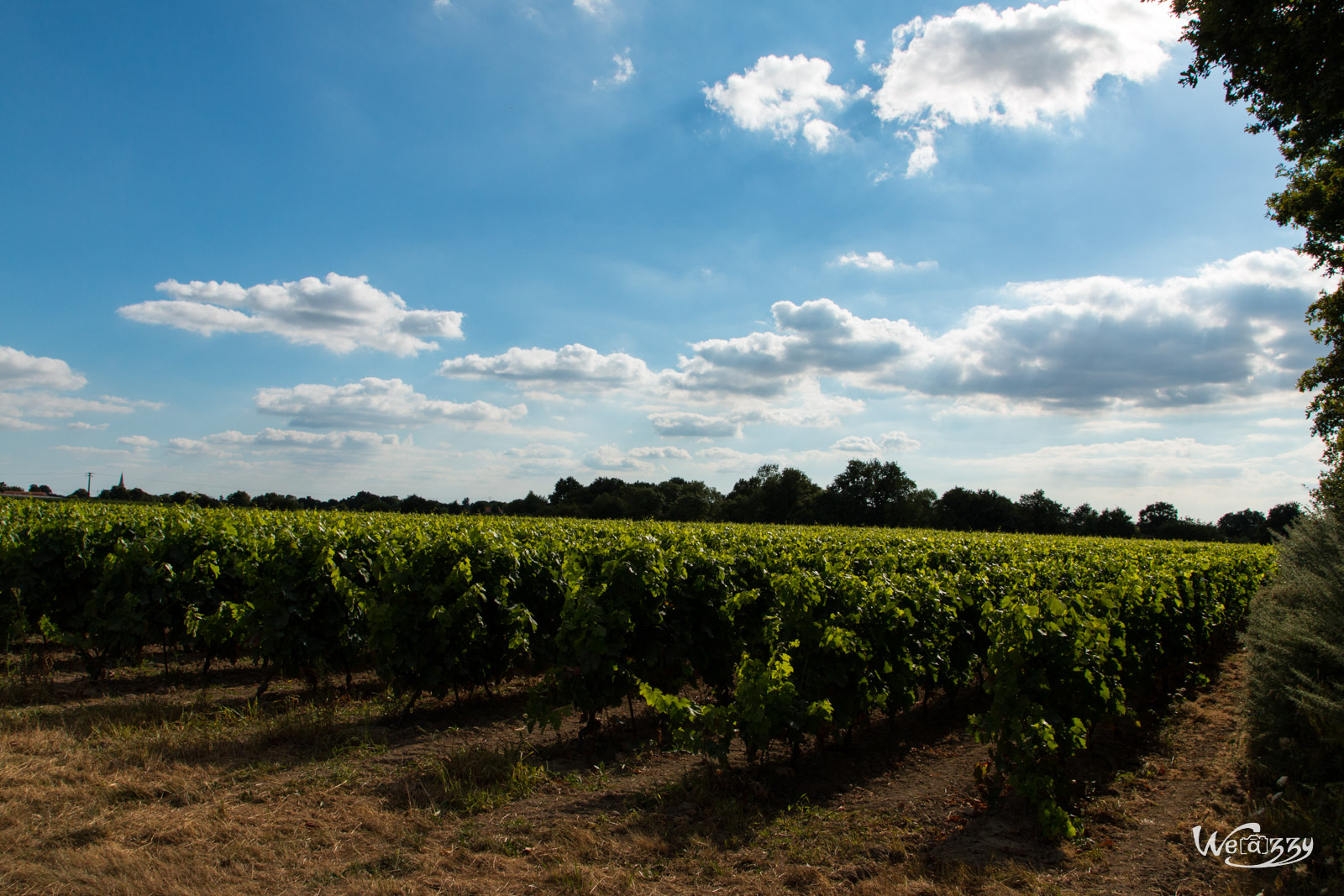 Coteaux, Nantes, Randonnée