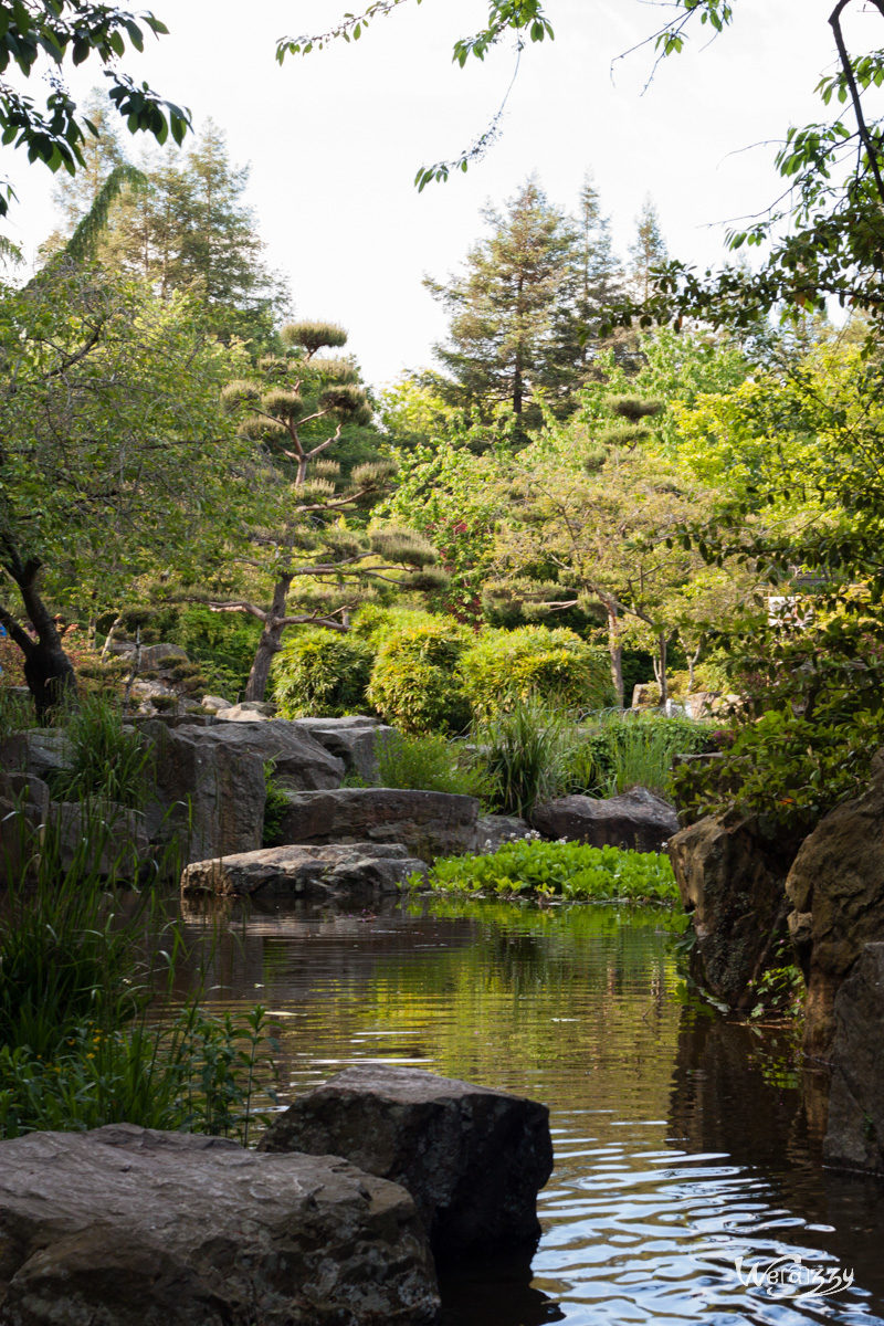 France, Japonnais, Nantes, jardin