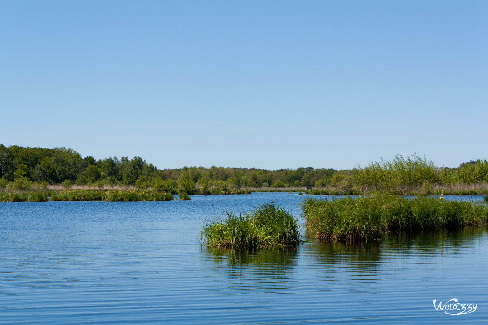 Brière, France, Marais, Nature