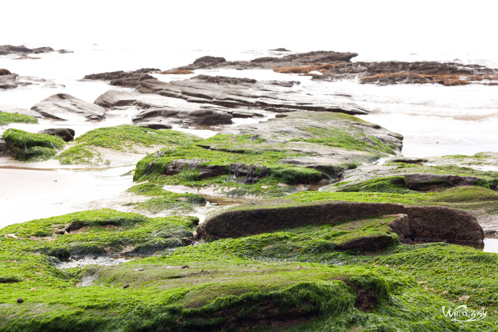 France, Nature, Penestin, Plage