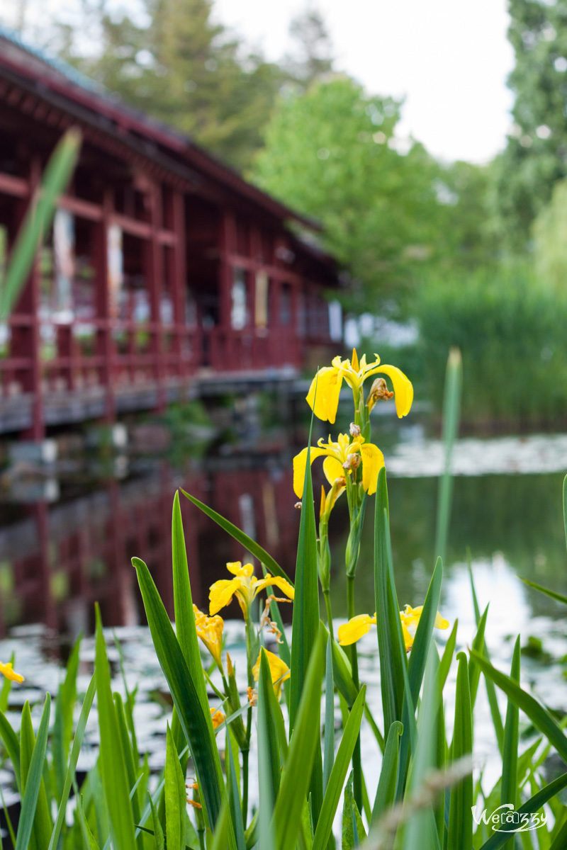 France, Japonnais, Nantes, jardin