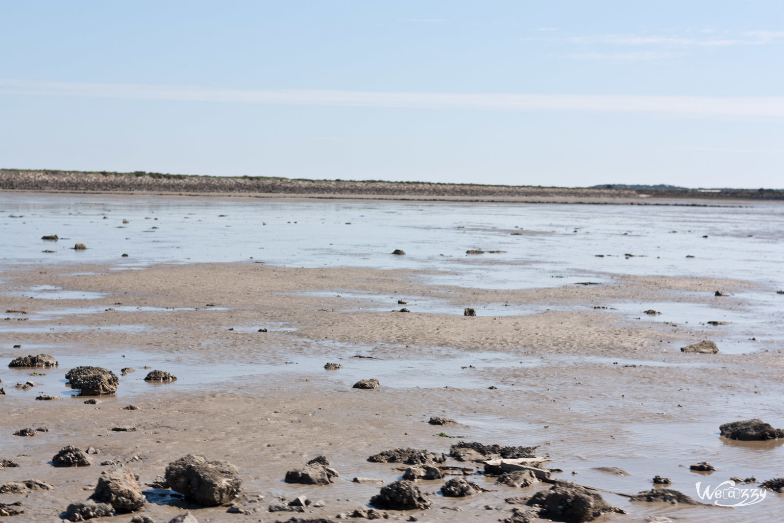 France, Littoral, Nature, Noirmoutier, Plage