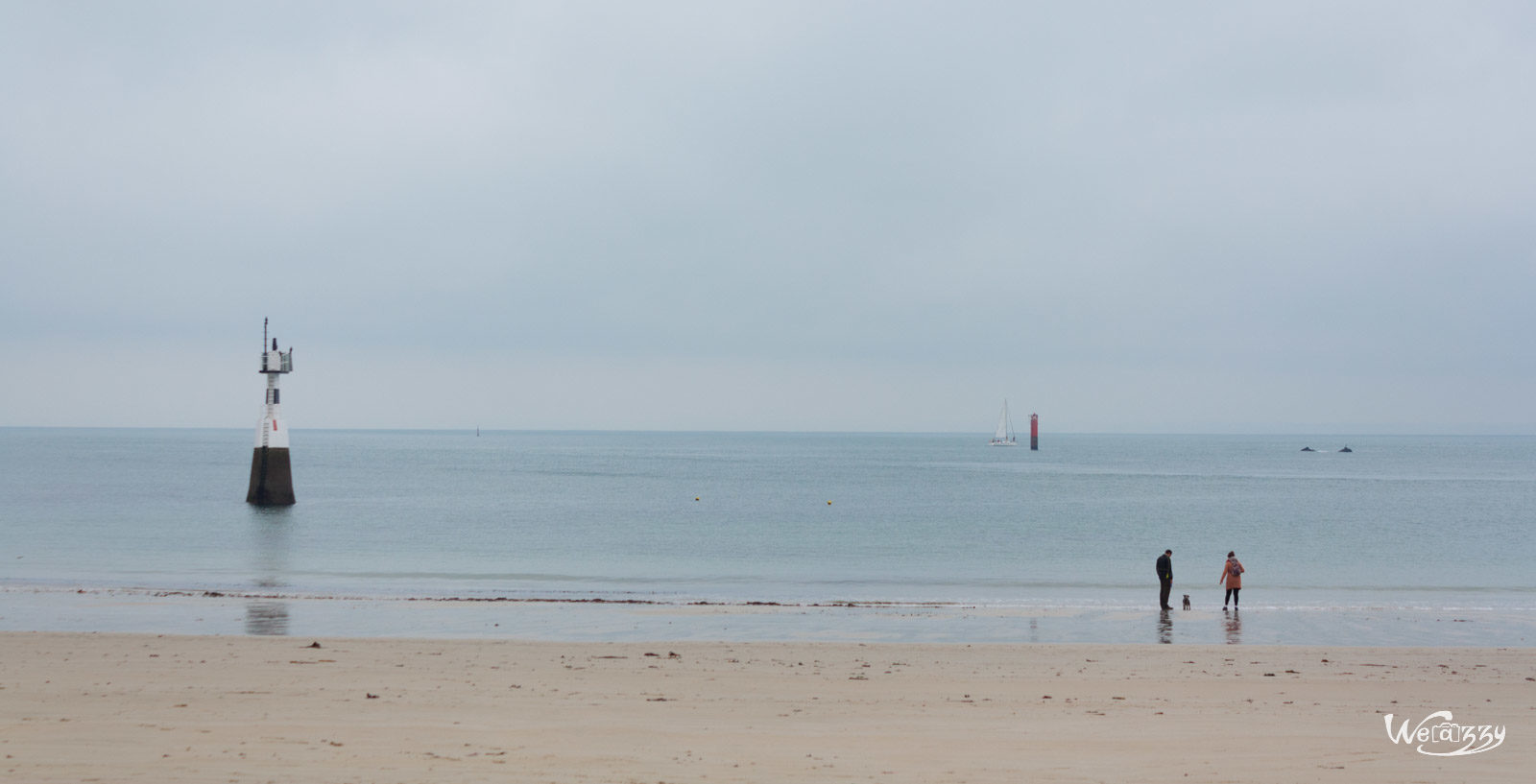 France, Nature, Plage, Quiberon