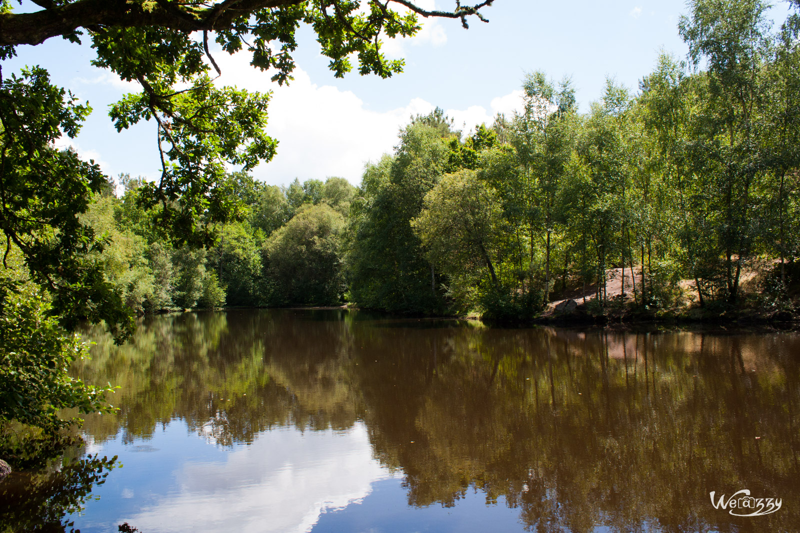 Brocéliande – Au coeur de la forêt légendaire