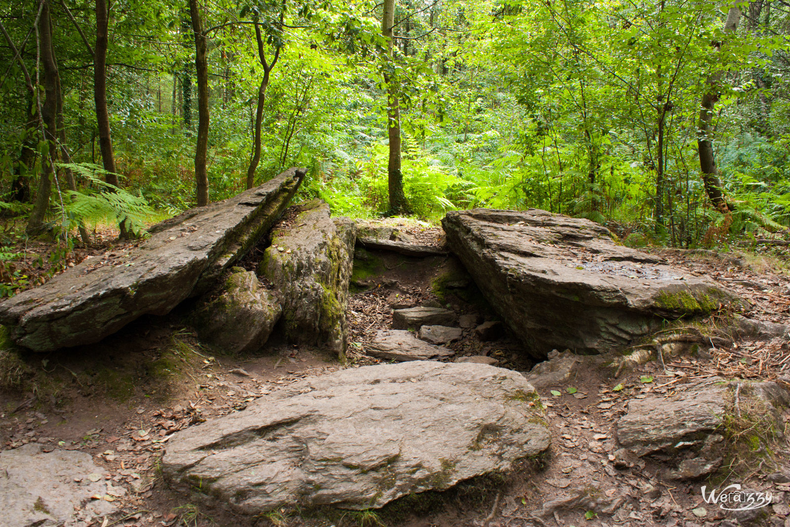 Brocéliande, Forêt, France, Nature