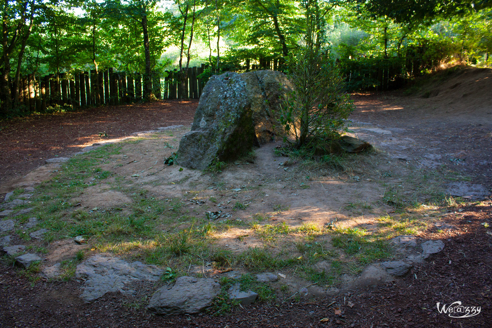 Brocéliande, Forêt, France, Nature