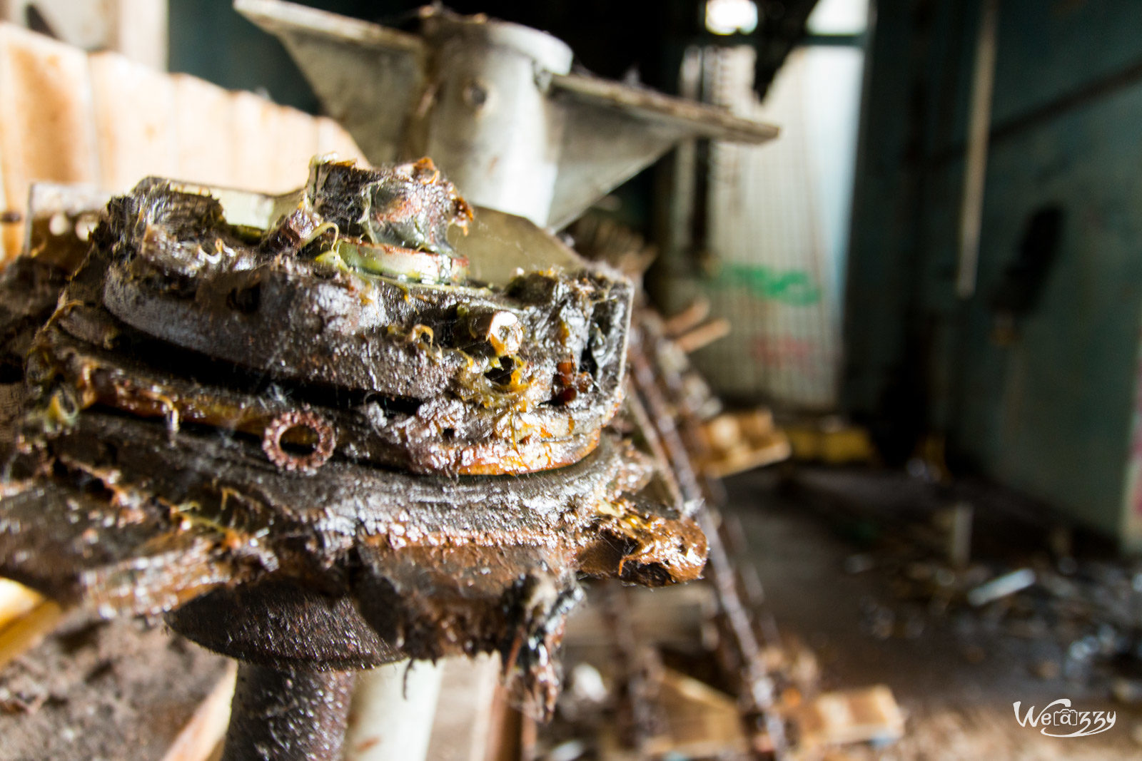 Abandonné, Abattoirs, Nantes, Urbex