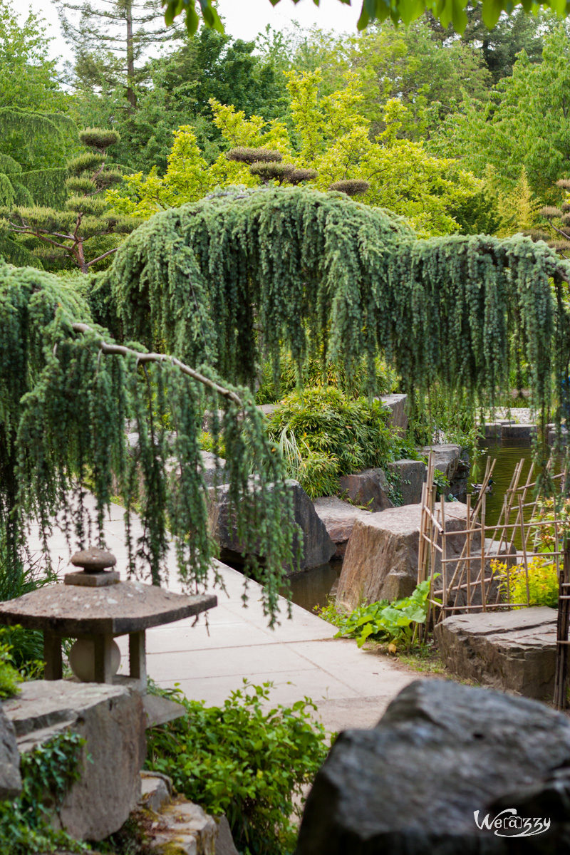 France, Japonnais, Nantes, jardin