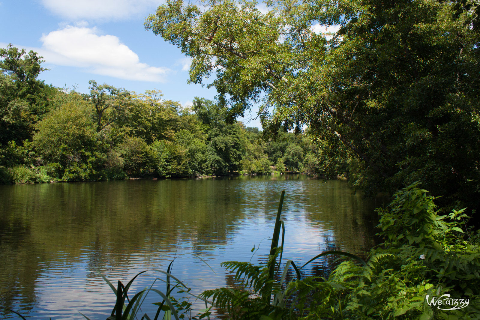 Clisson, France, Nature, Rivière
