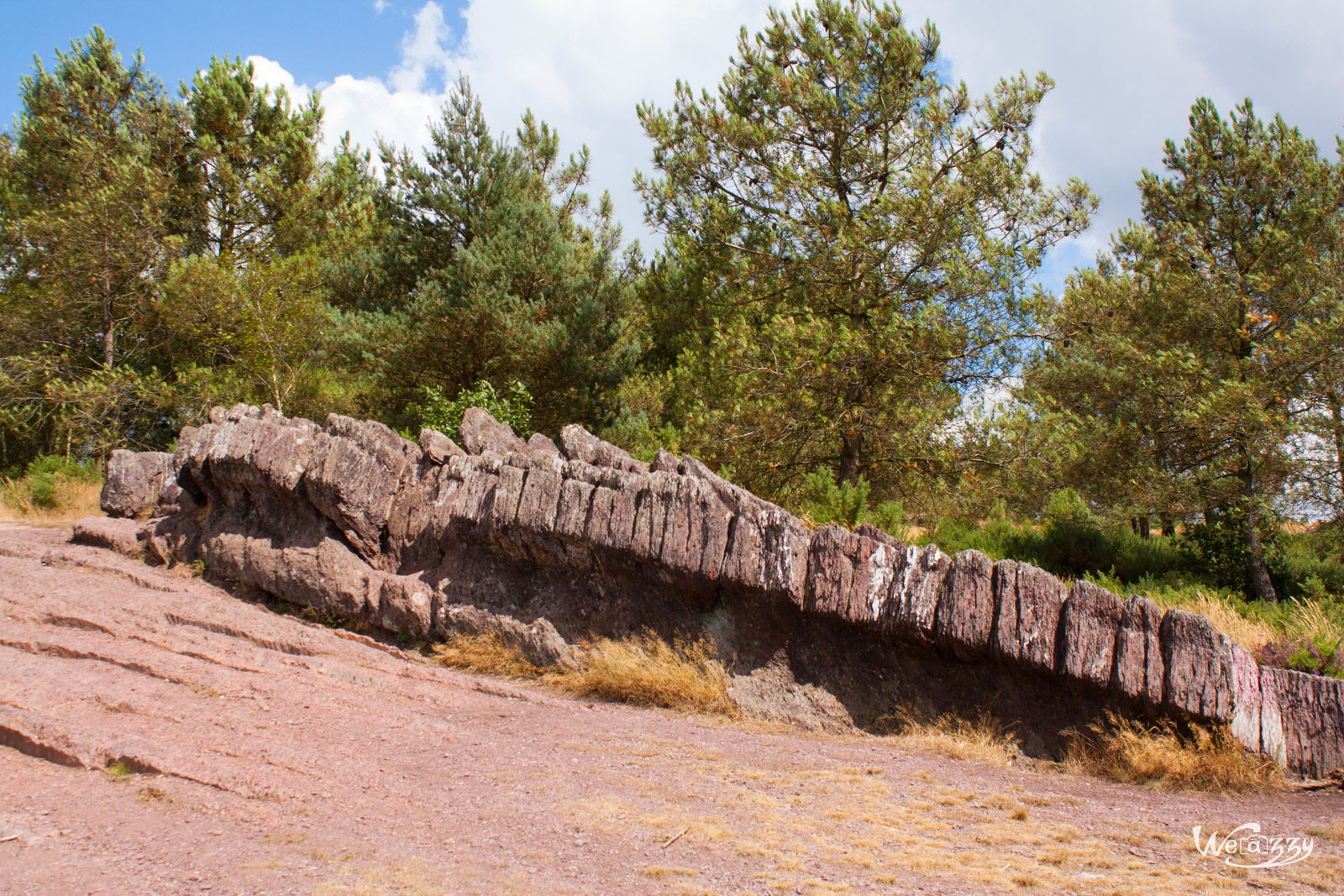 Brocéliande, Forêt, France, Nature