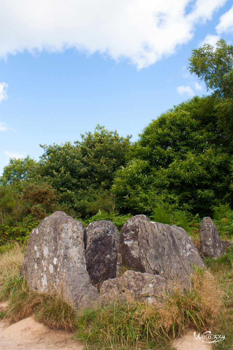 Brocéliande, Forêt, France, Nature