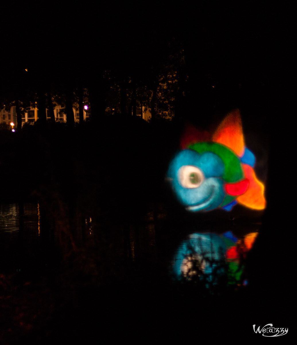 Botanique, France, Nantes, Nocturne, jardin