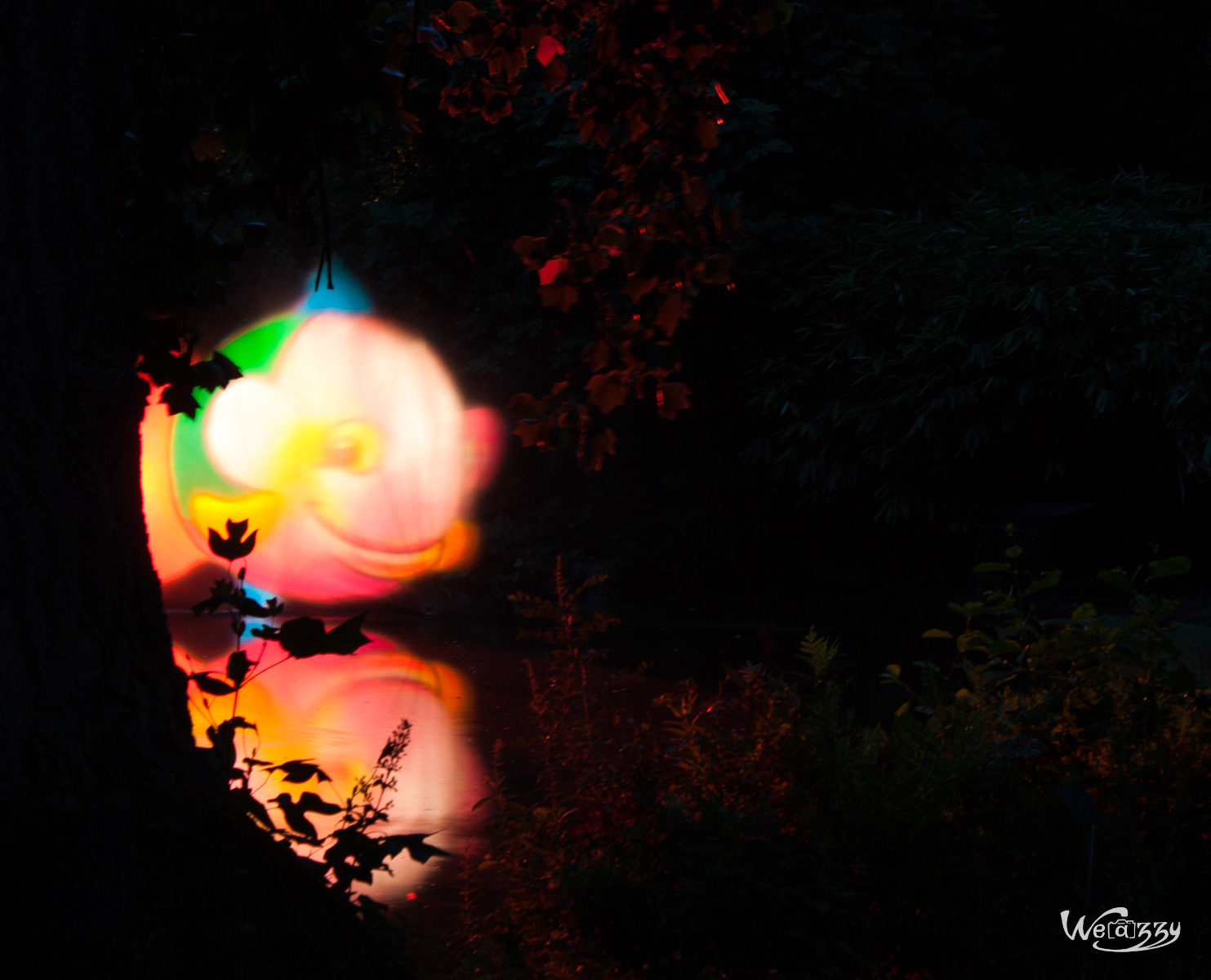 Botanique, France, Nantes, Nocturne, jardin