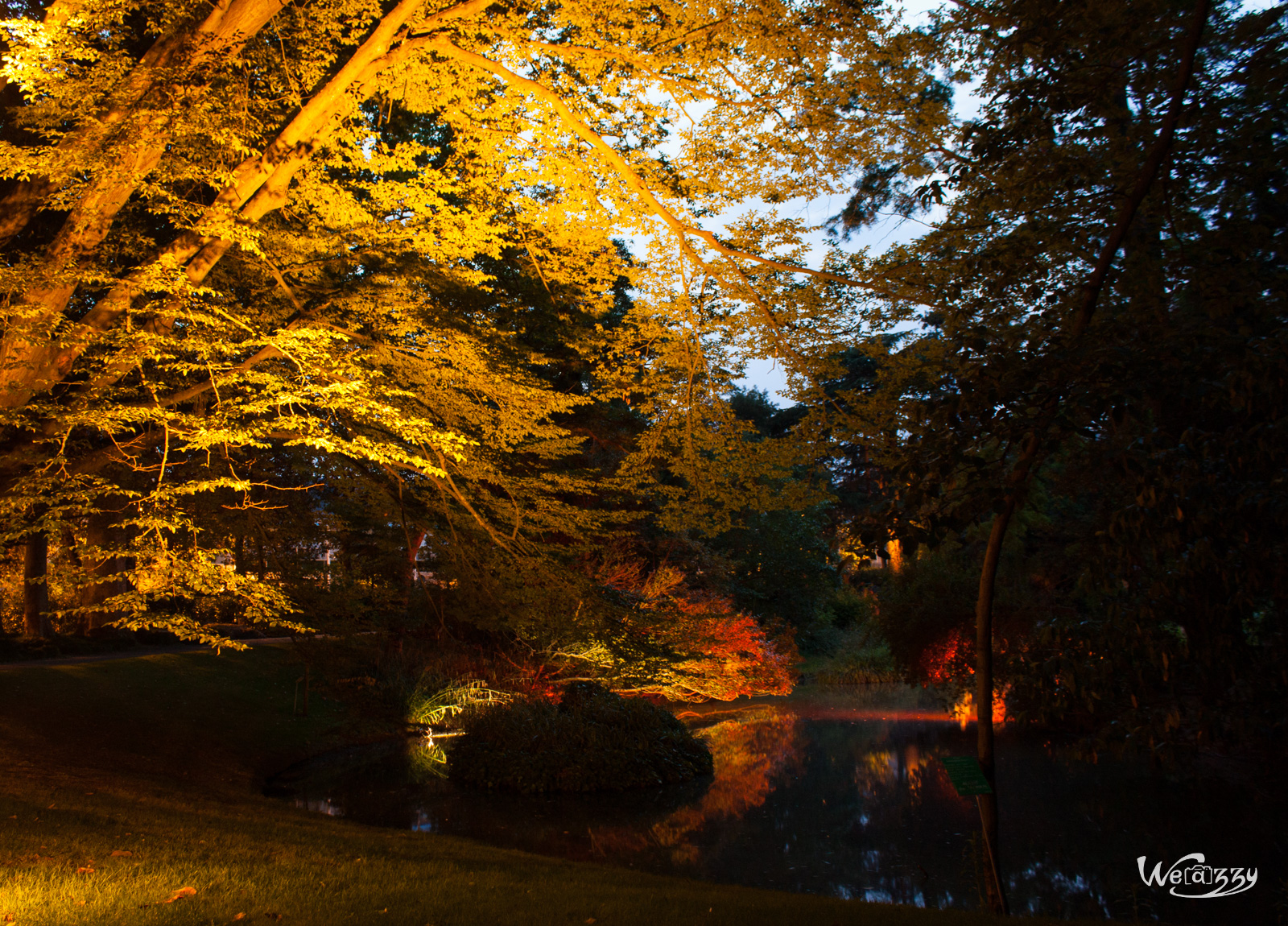 La nocturne du jardin des plantes de Nantes