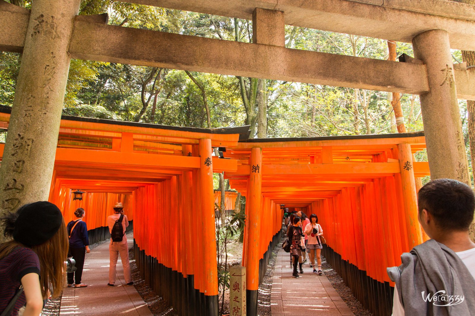 Japon, Kyoto, Voyage