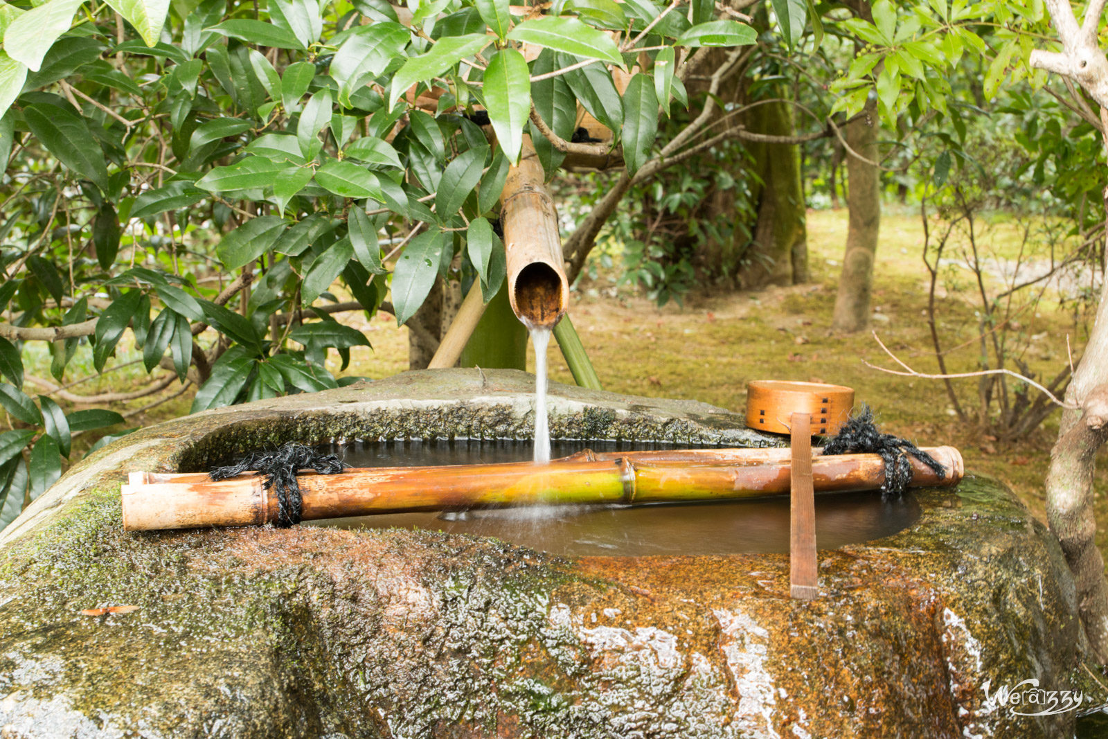 Japon, Kyoto, Voyage