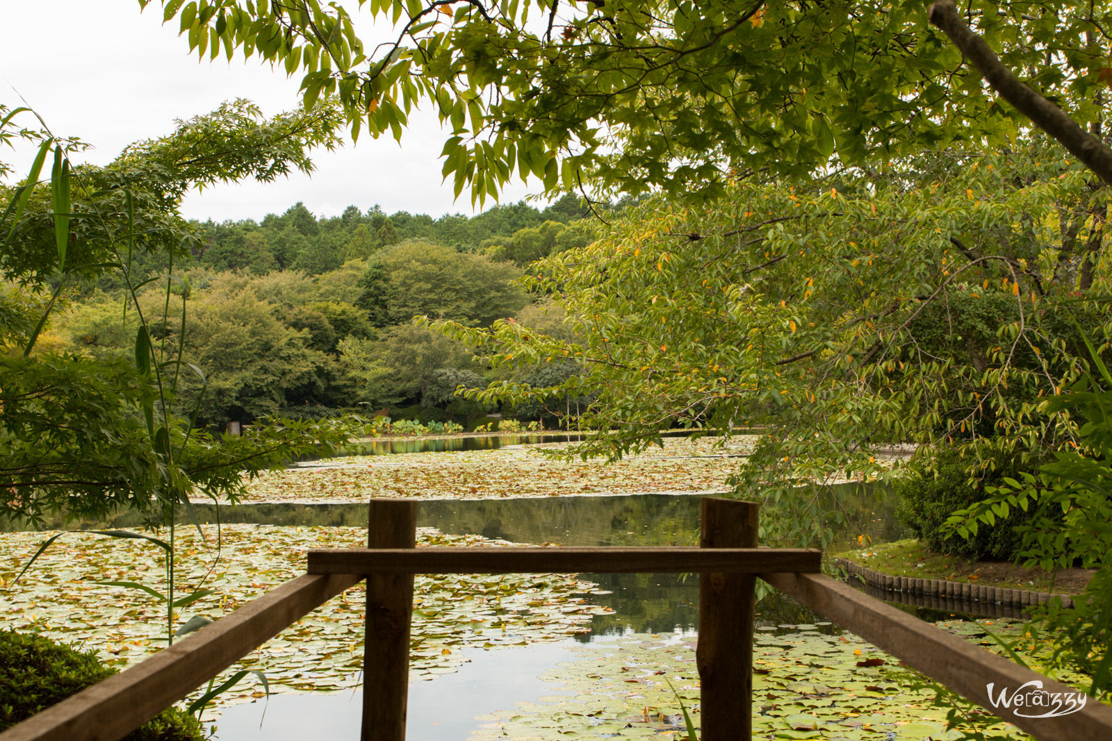 Japon, Kyoto, Voyage