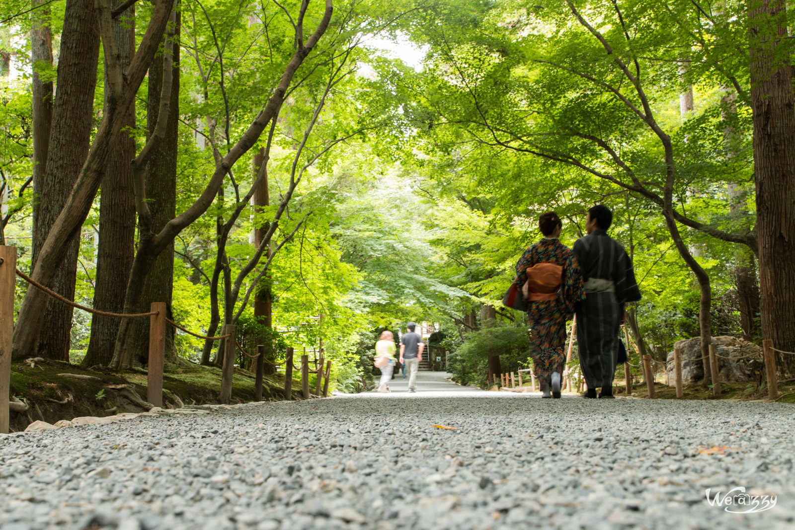 Japon, Kyoto, Voyage