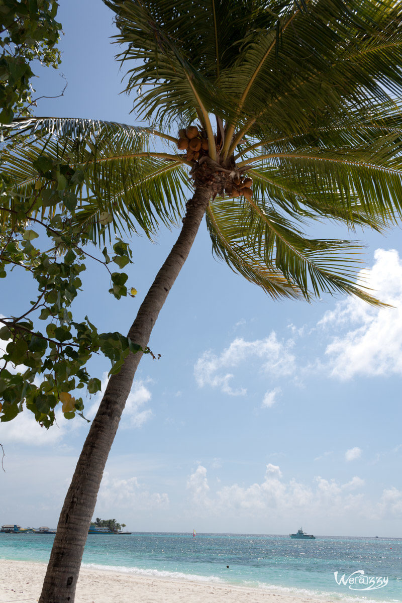 Maldives, Plage, Voyage