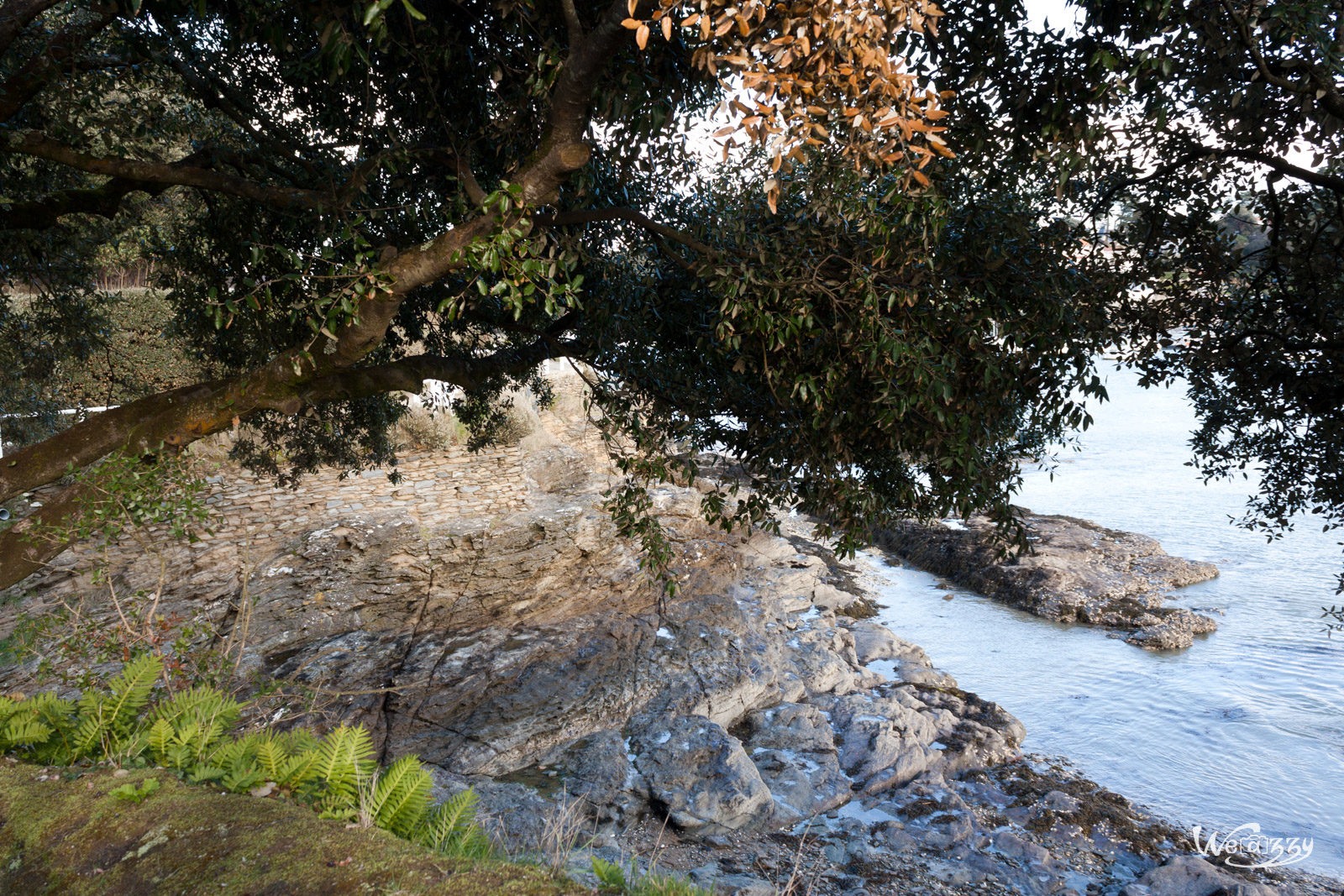 France, Nature, Plage, Pornic