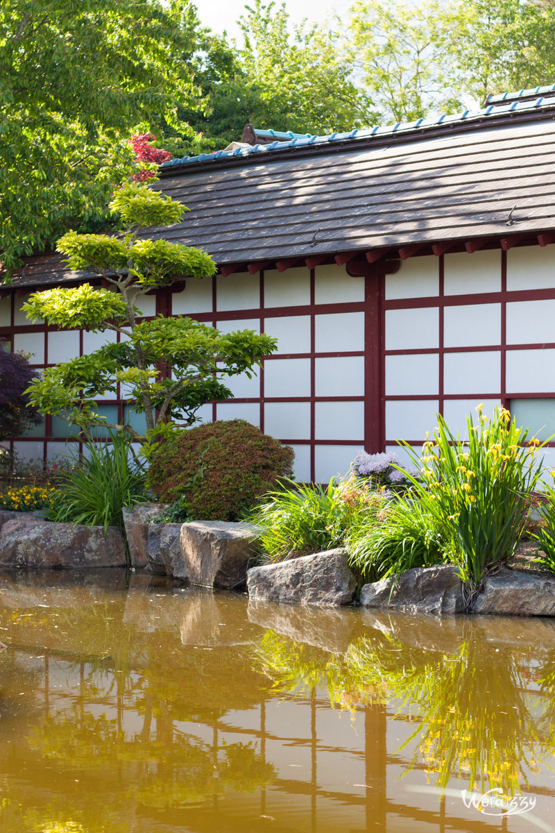 France, Japonnais, Nantes, jardin