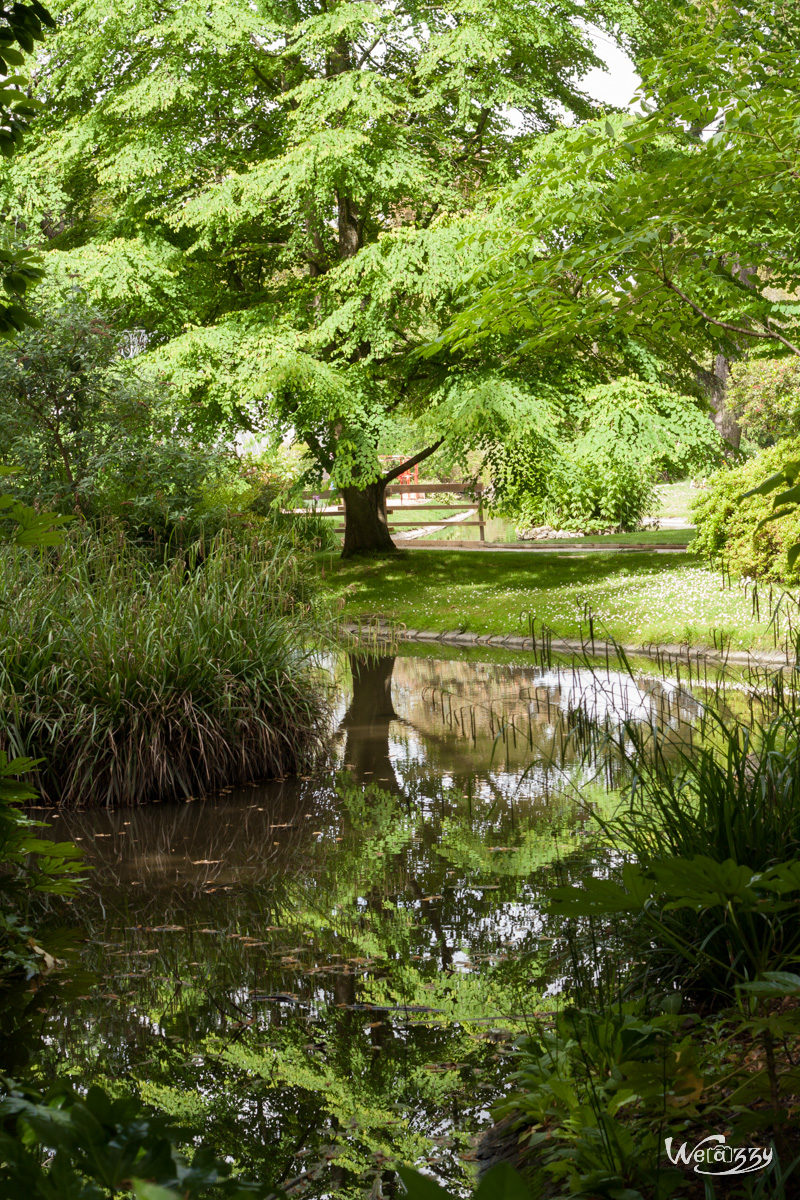 Botanique, France, Nantes, jardin