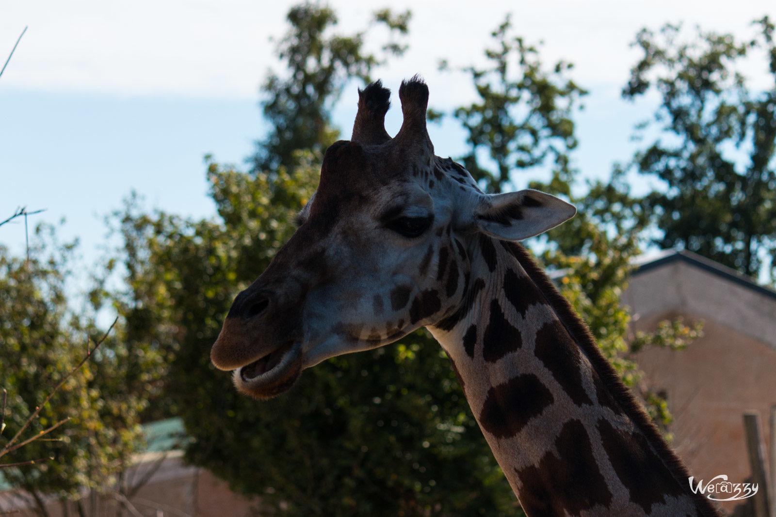 France, Nantes, Nature, Zoo