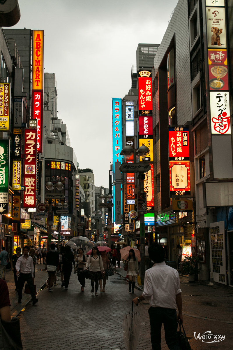 Japon, Tokyo, Voyage