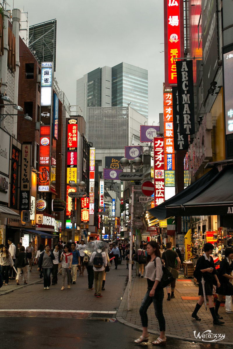 Japon, Tokyo, Voyage