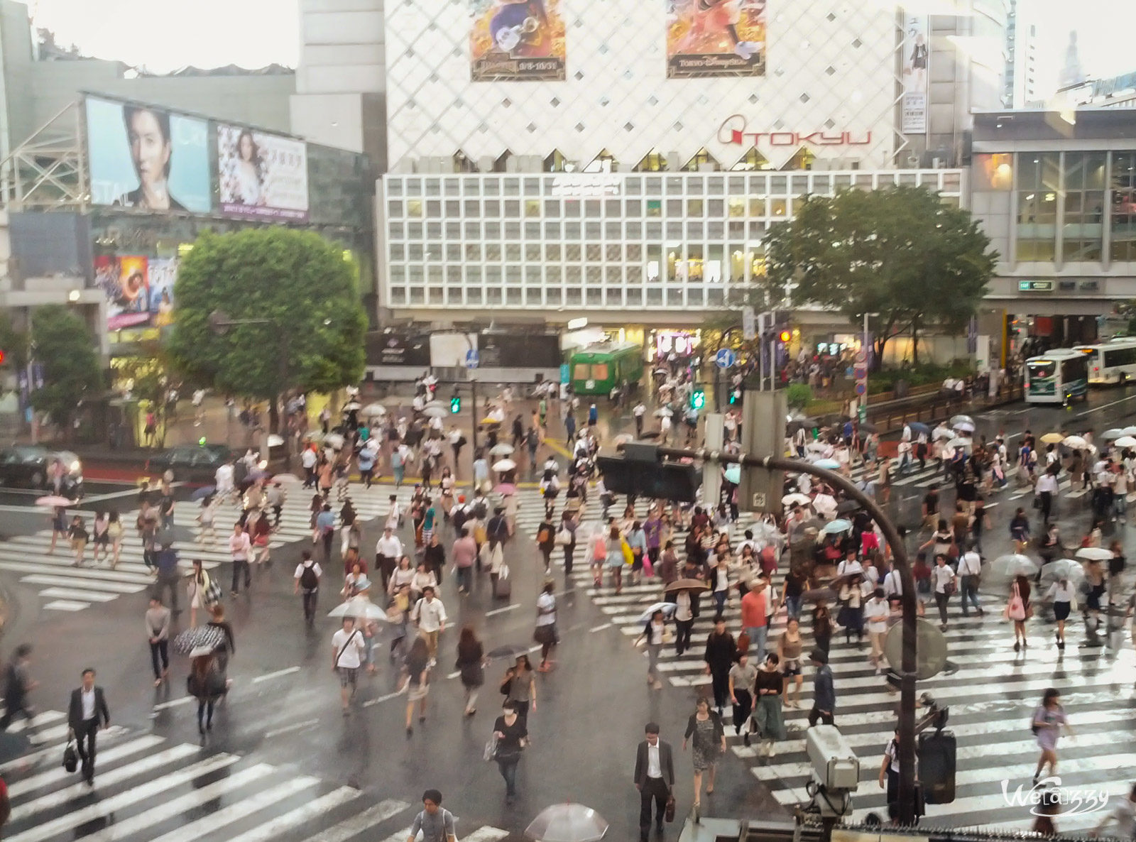 Japon, Tokyo, Voyage