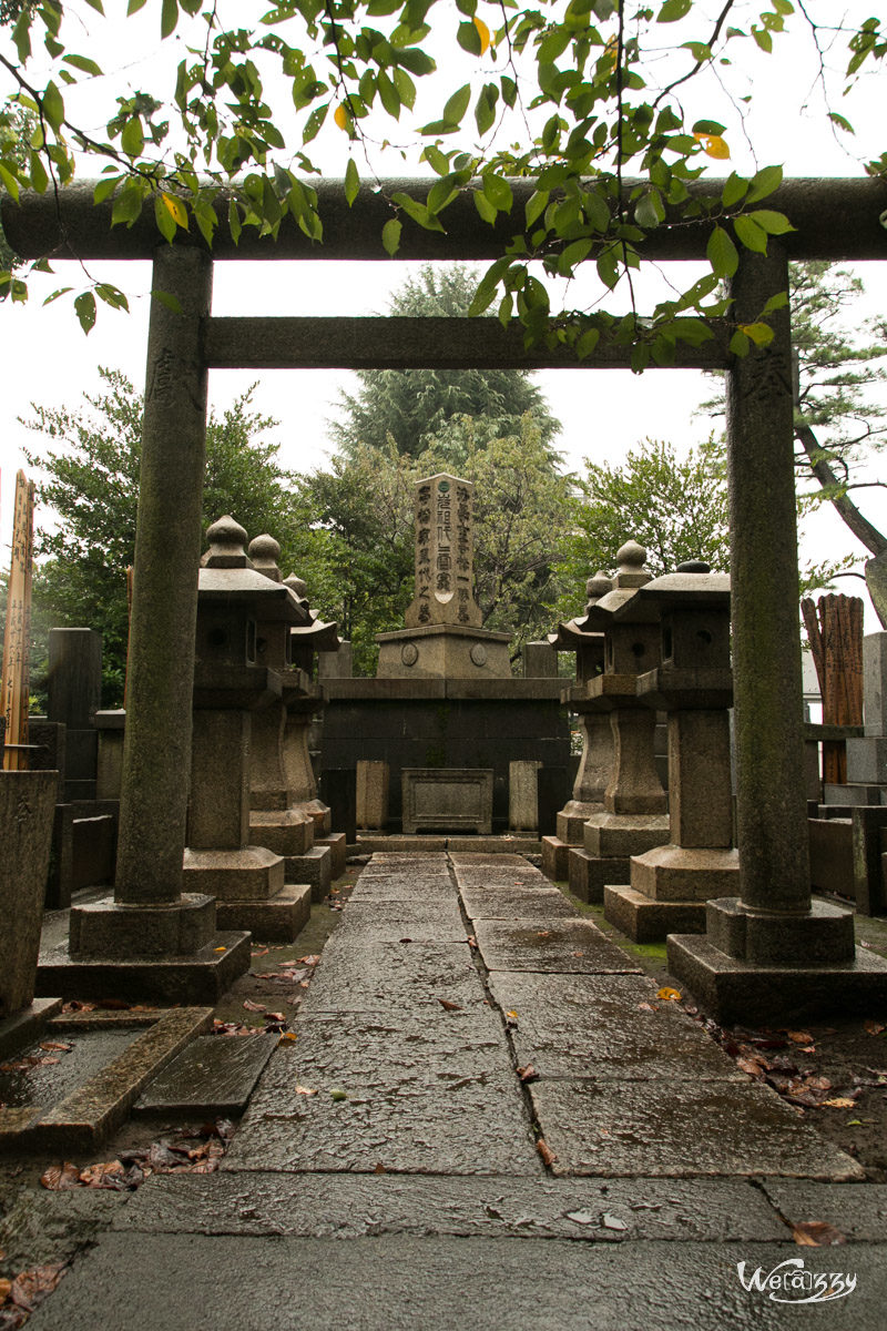 Japon, Tokyo, Voyage