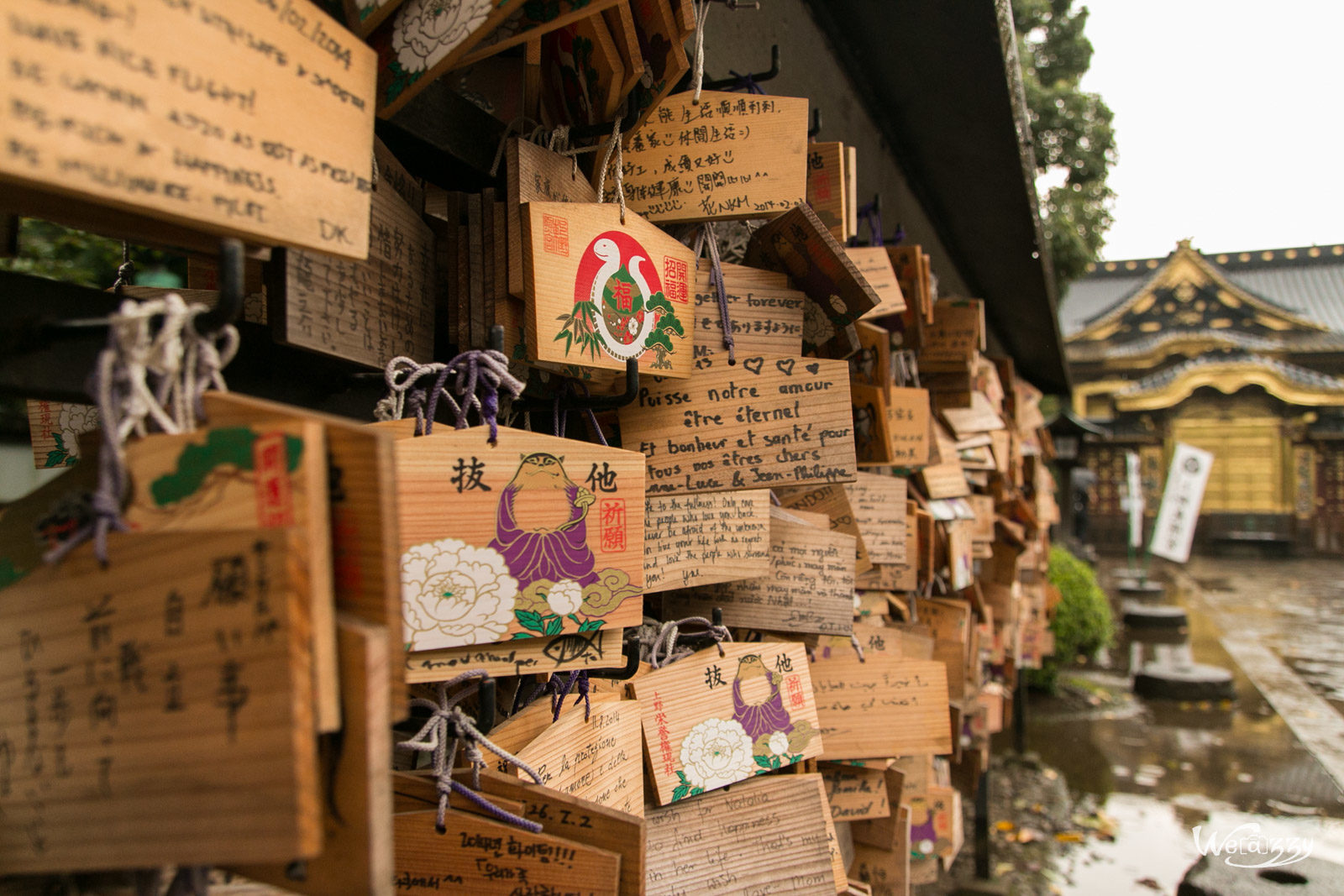 Japon, Tokyo, Voyage