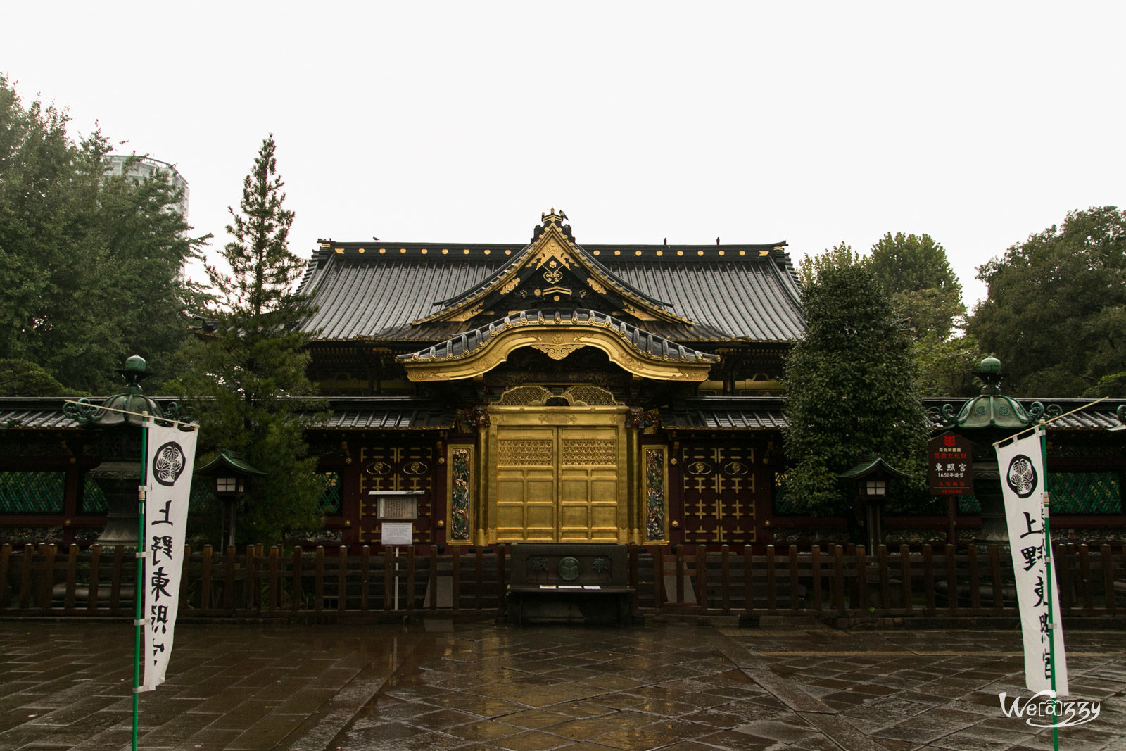 Japon, Tokyo, Voyage