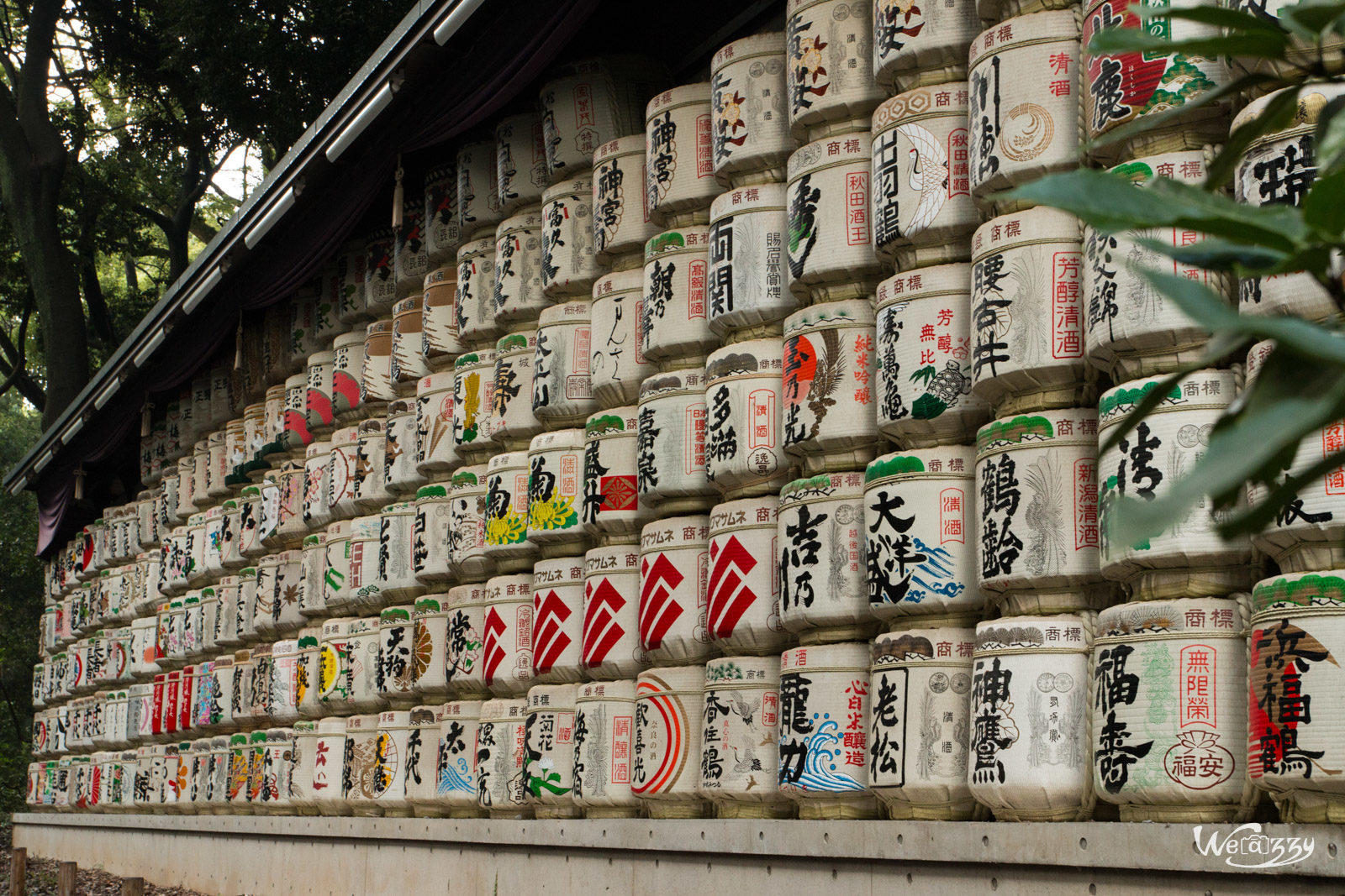 Japon, Tokyo, Voyage