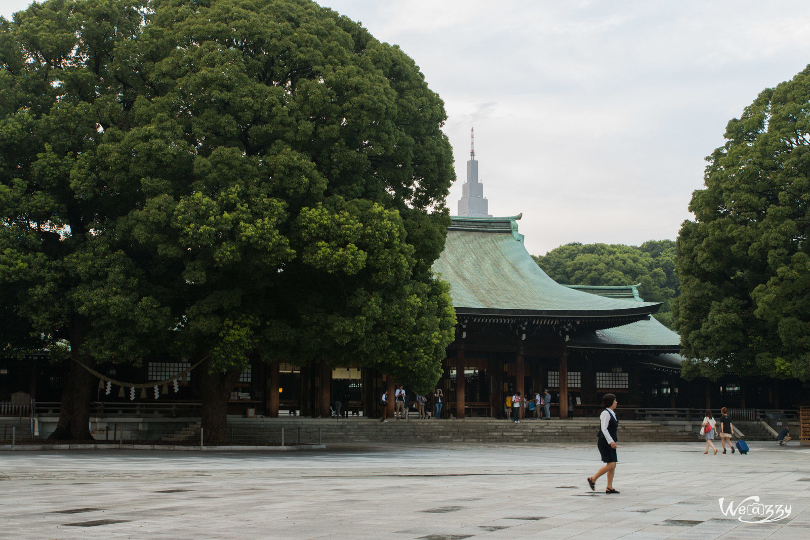 Japon, Tokyo, Voyage