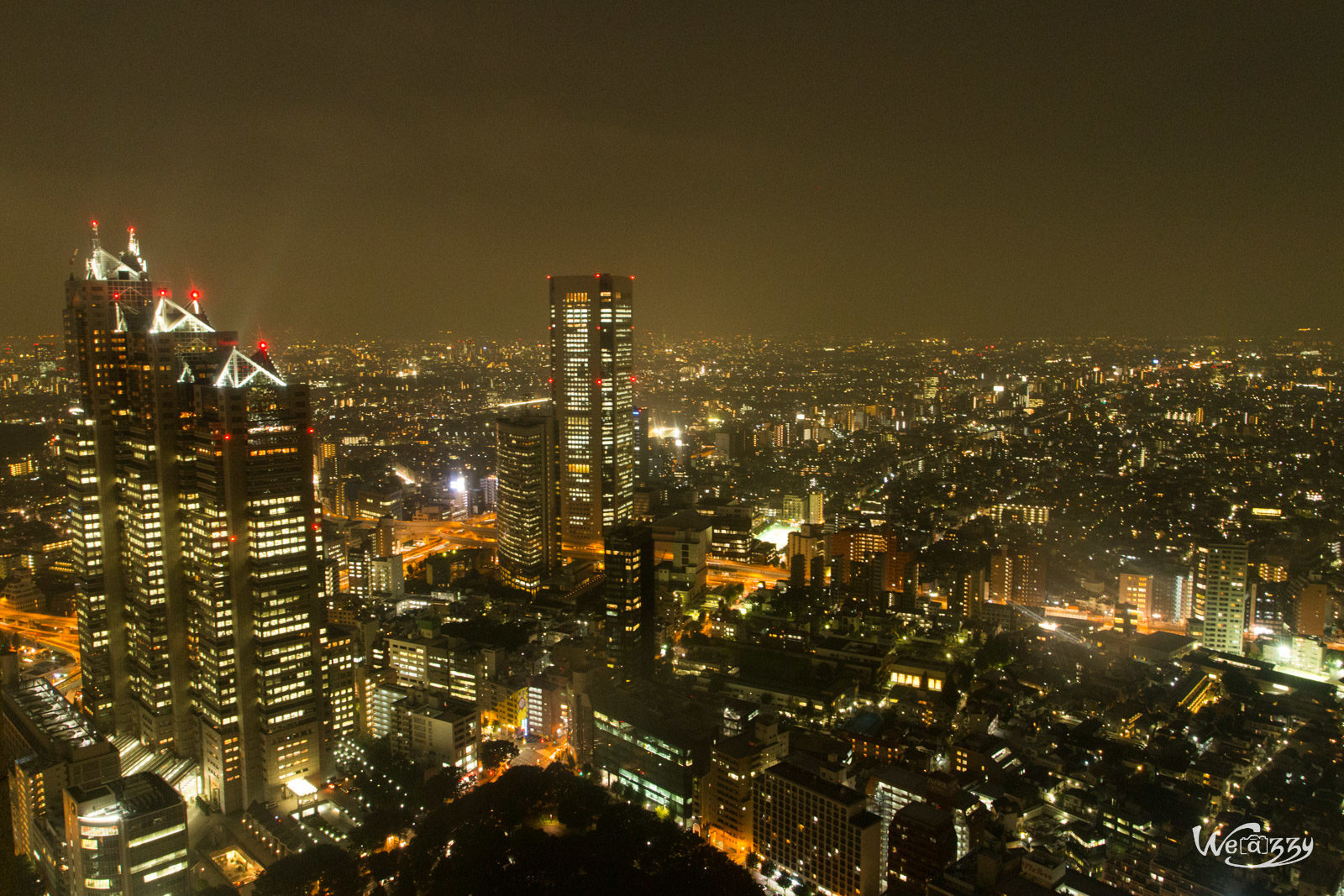 Japon, Tokyo, Voyage