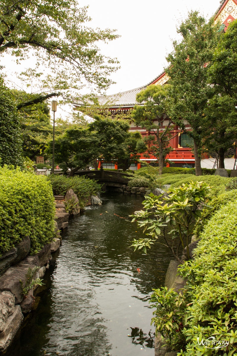 Japon, Tokyo, Voyage
