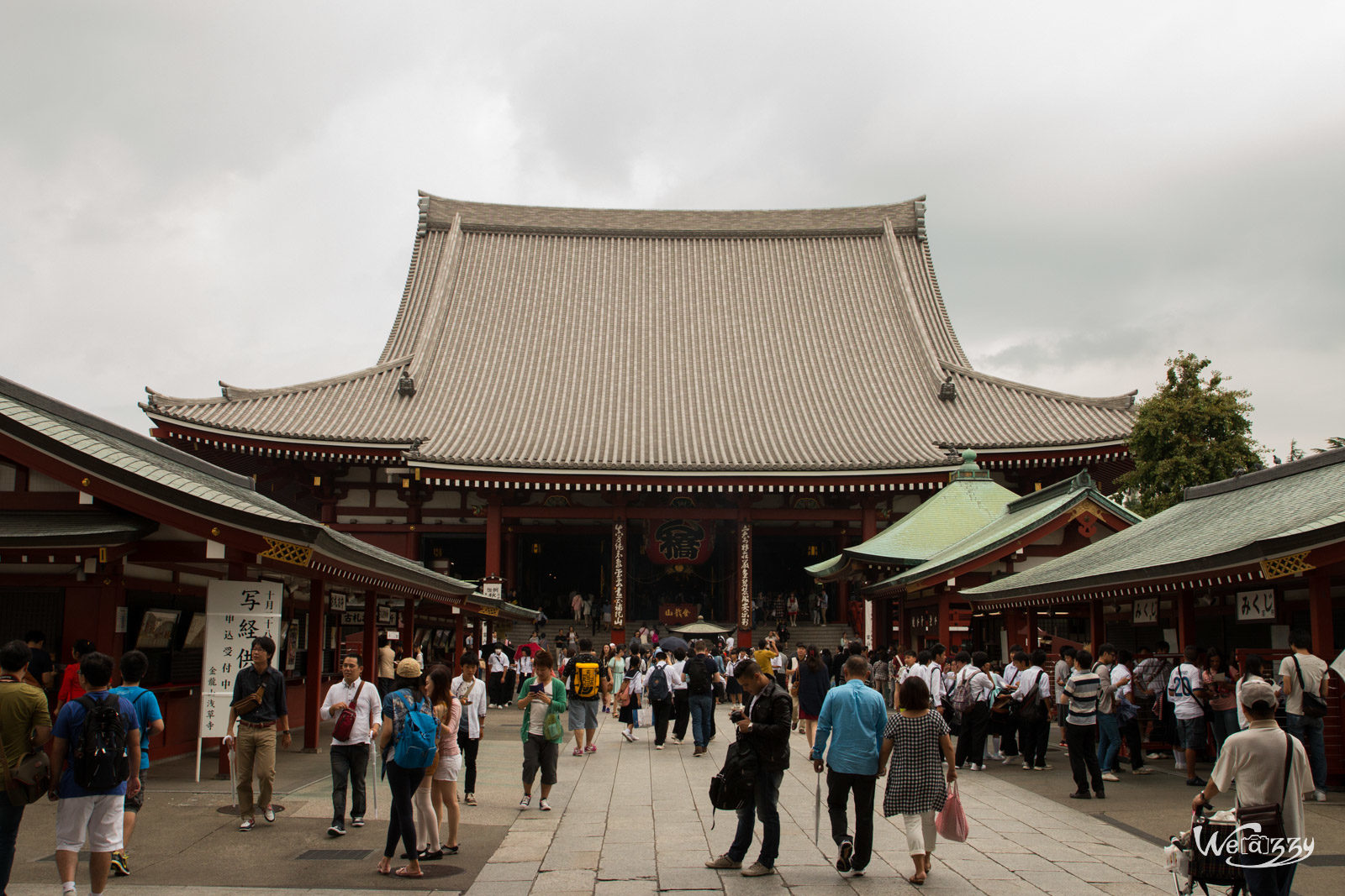Japon, Tokyo, Voyage