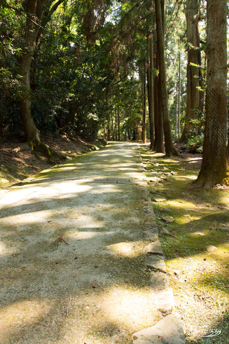 Japon, Nara, Voyage