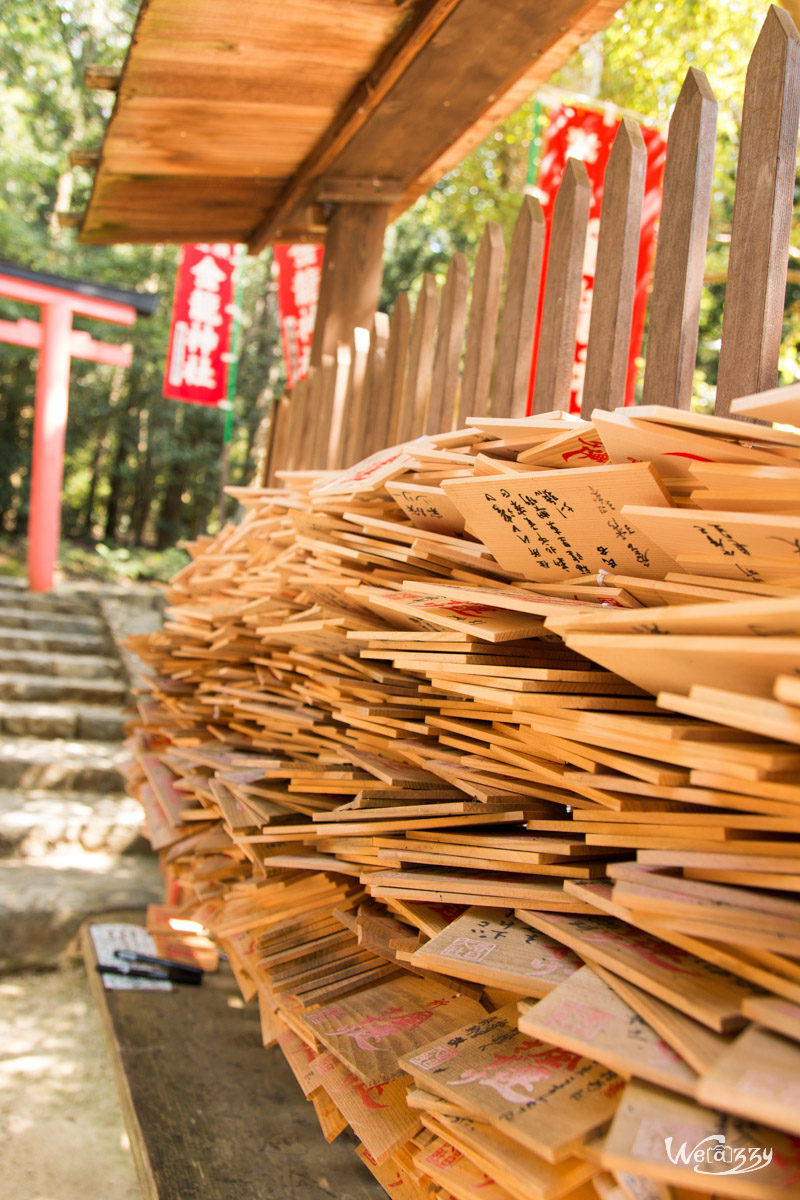 Japon, Nara, Voyage