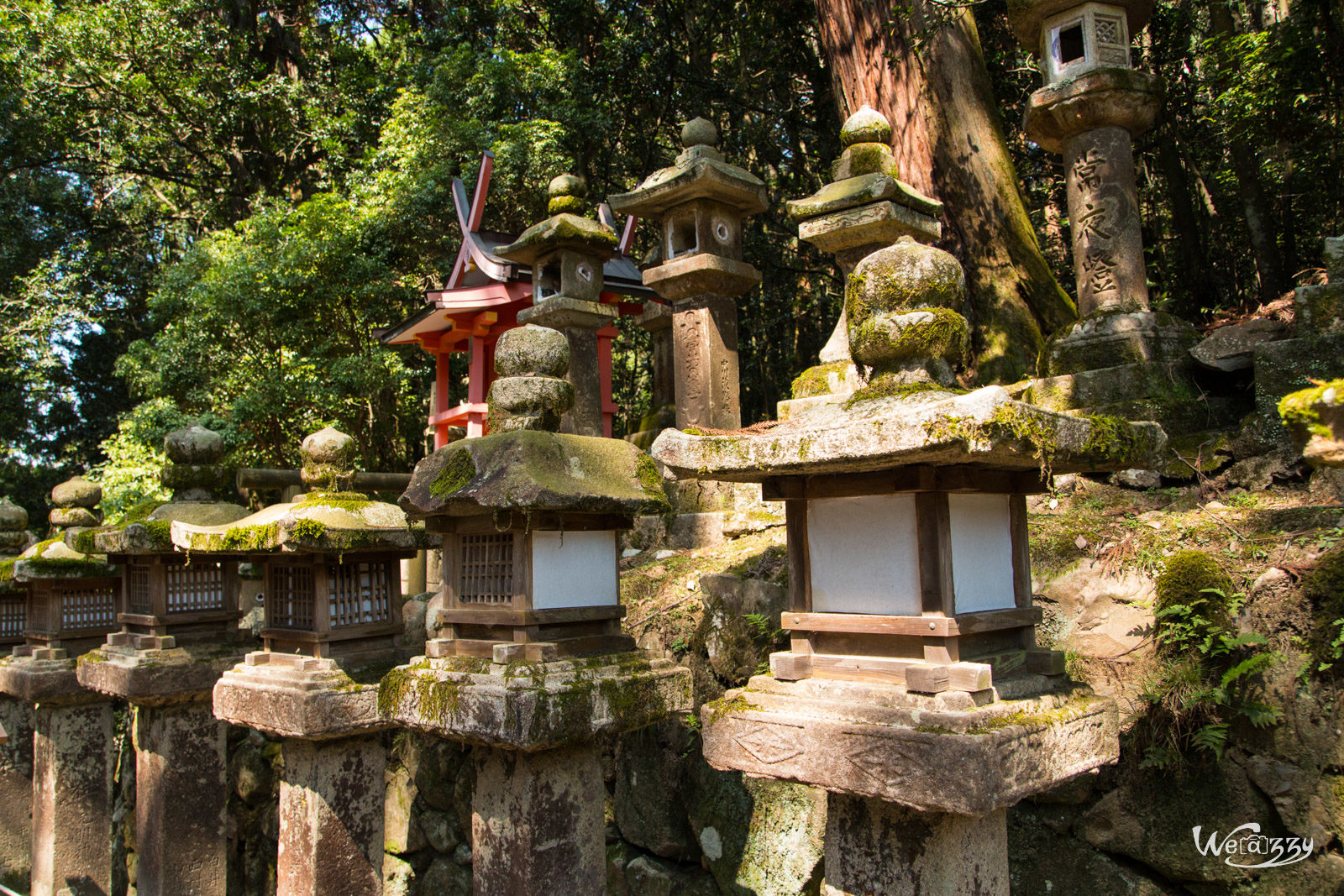 Japon, Nara, Voyage