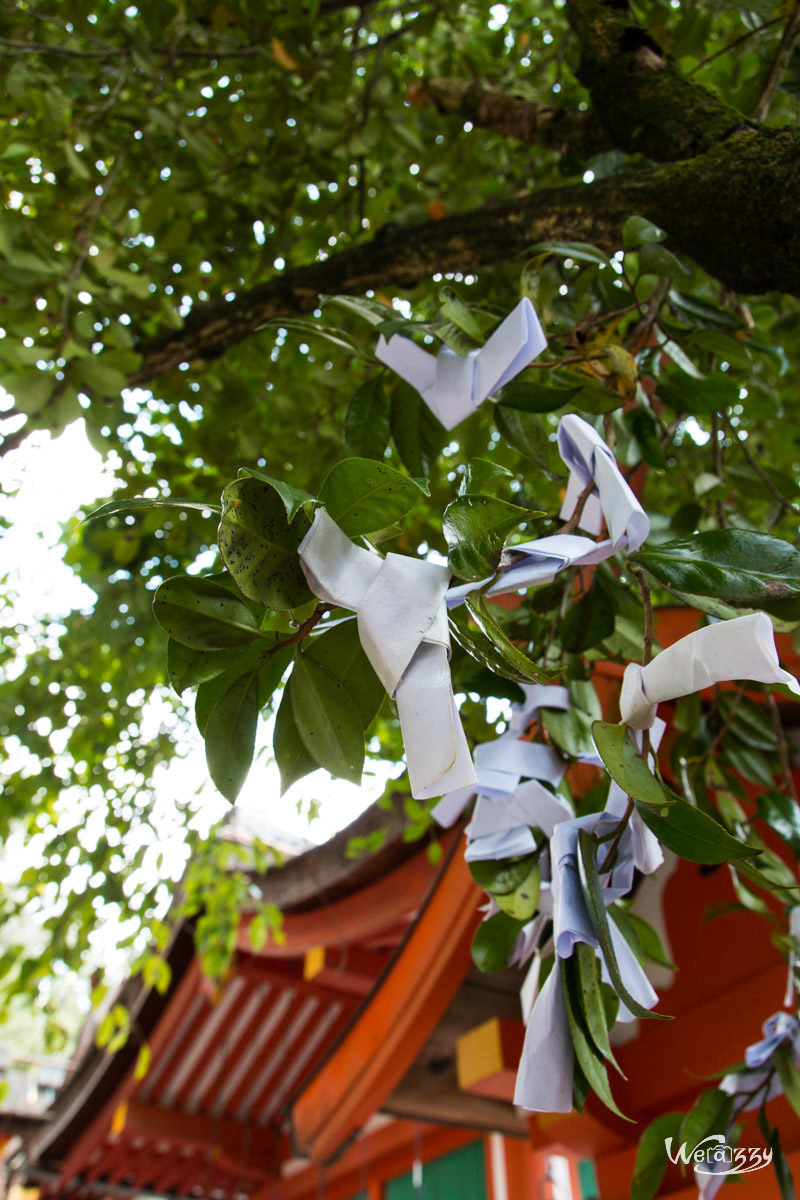 Japon, Nara, Voyage