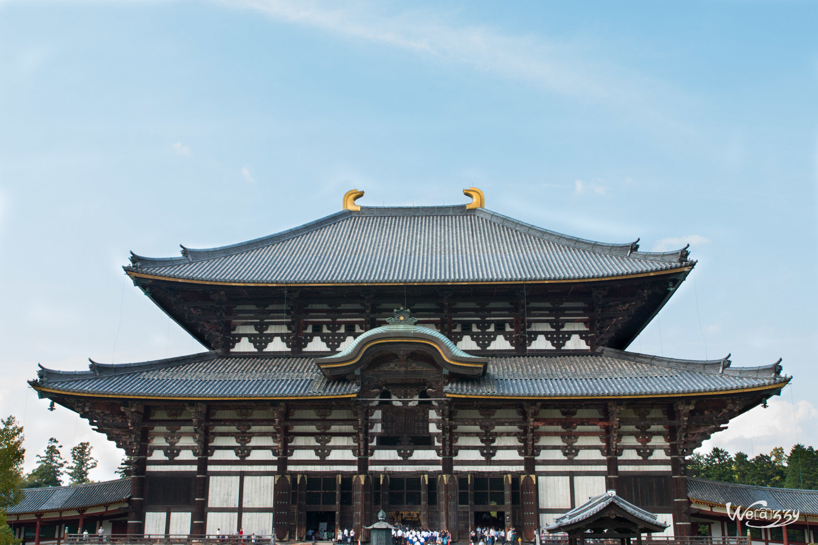 Japon, Nara, Voyage
