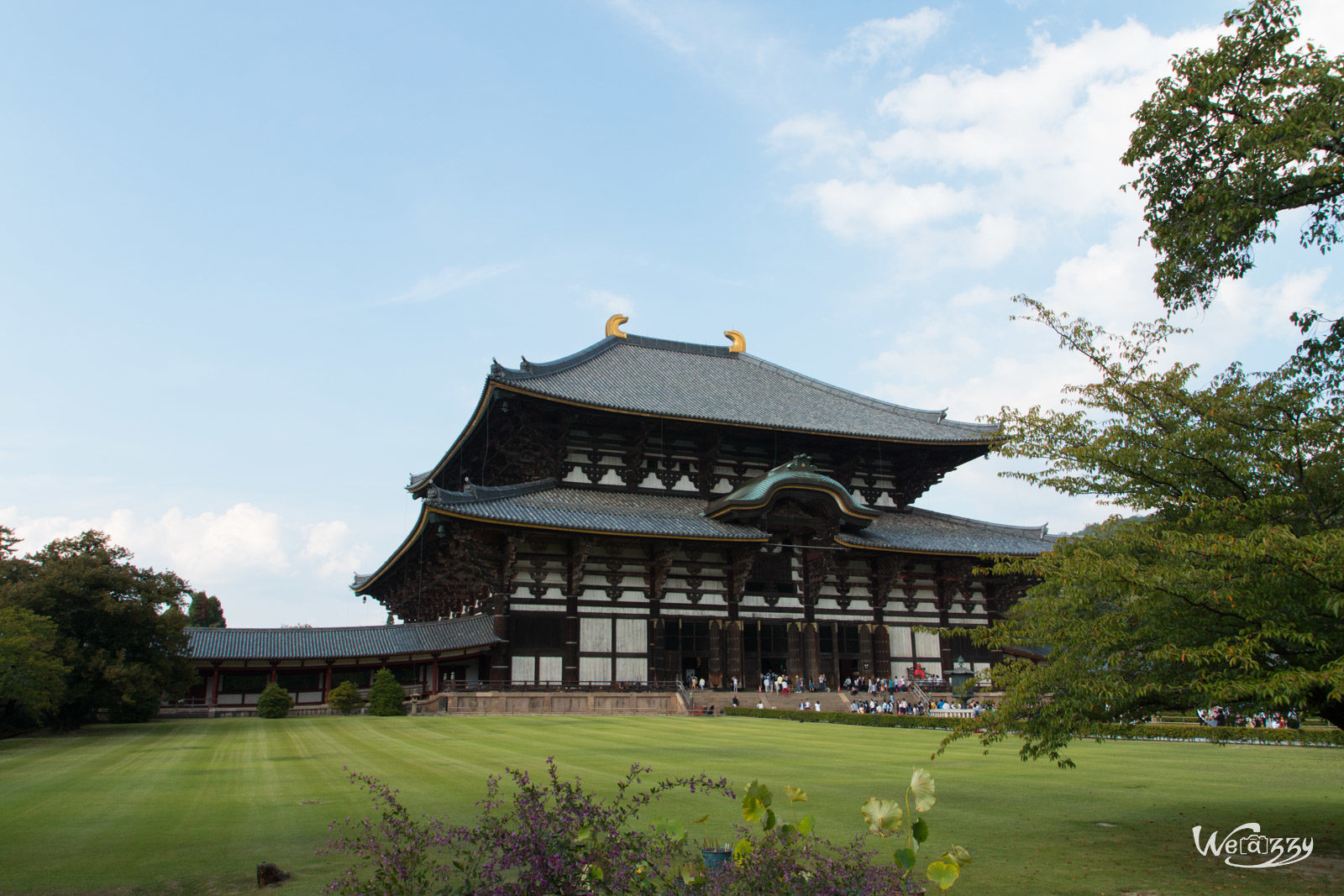 Japon, Nara, Voyage